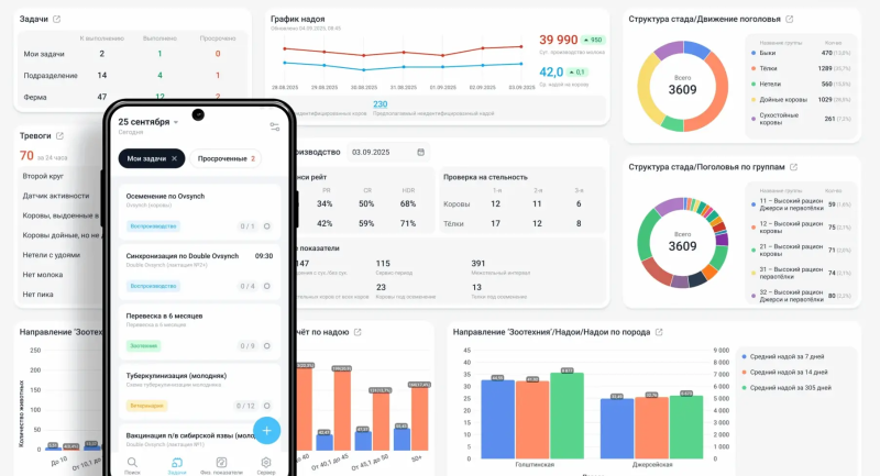 Расчет рациона кормления КРС