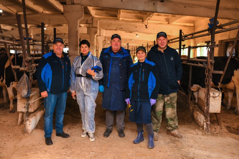 Консалтинг