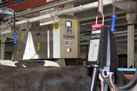 Программа управления стадом DelPro™ для ферм с привязным содержанием животных